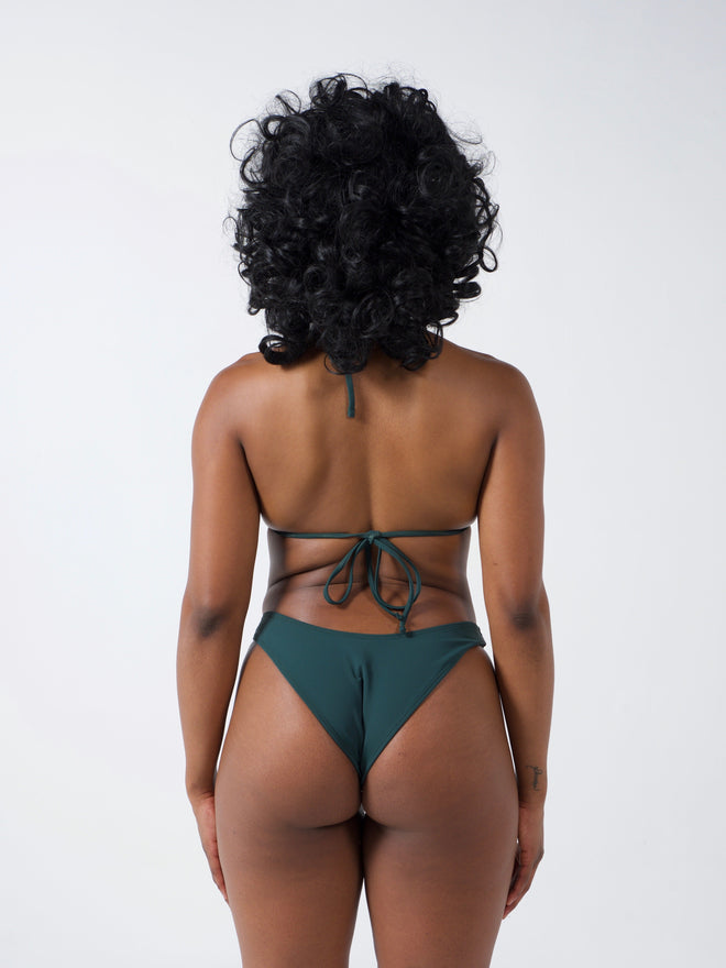 Coral Swim X Coastal Bottom Evergreen